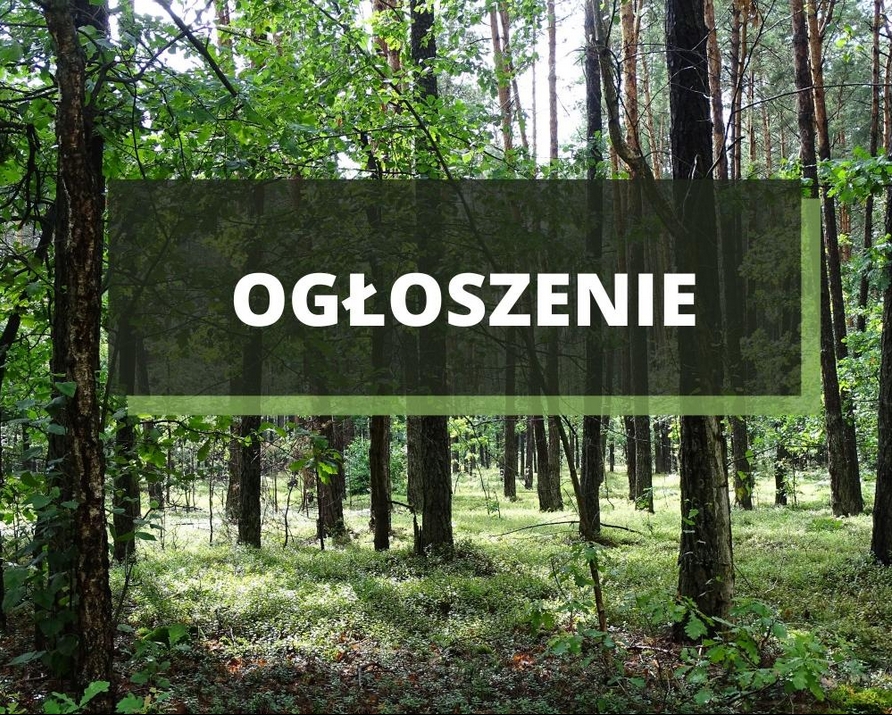 Nadleśnictwo Łuków kupi las